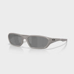 Terraforma Solbriller - Titanium / Prizm Black Polarized - Gumpel & Co