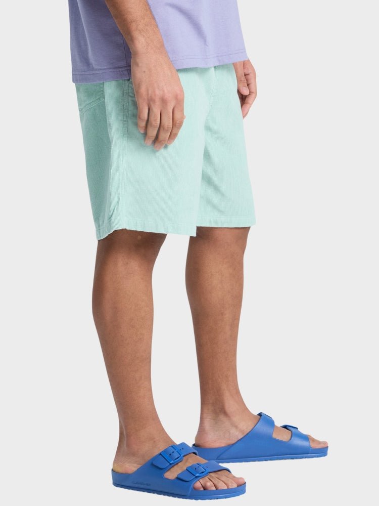 Quicksilver Taxer Cord Fløjls Shorts - Herre - Turquish