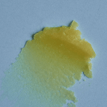 Sun Stick SPF50 - Gumpel & Co