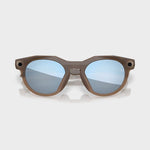 HSTN AI Solbrille - Brown Smoke / Prizm Deep Water Polerized - Gumpel & Co