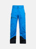 Alpine Insulate Ski Pants GORETEX - Men's - Blue