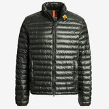 Sena Dunjakke - Herrer - Kombu Green - Gumpel & Co